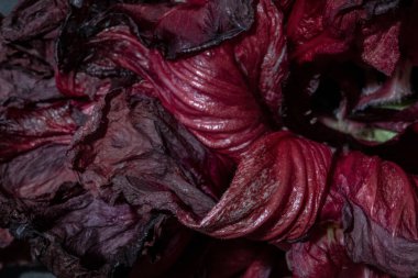 Kırmızı amber yaprağı yakın plan, soyut desenler çerçeveyi doldurur