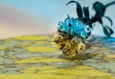 Renkli mermer yüzeyde izole edilmiş kuru bir bitkiye su damlaları düşer.