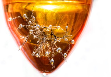 Soyut, kurak bitkilere su damlaları renkli, desenli arka planda