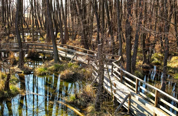 Fila Assi Legno Sopra Acqua Della Palude Palafitta Sopra Palude — Foto Stock