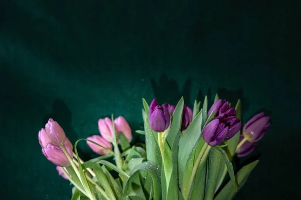 Bouquet Pink Tulips Water Drops Isolated Green Background — Stock Photo, Image