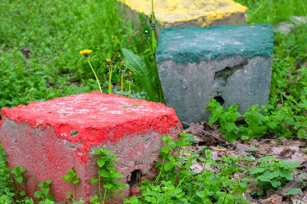 Colorful Stone Concrete Cube Shaped Seated Green Grass Yellow Flowers — ストック写真