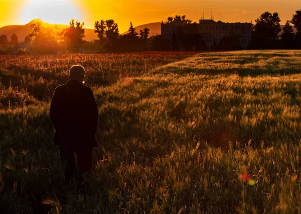 Silhouette Eines Mannes Isoliert Auf Einem Hintergrund Mit Mohnfeld Bei — Stockfoto