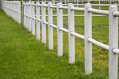 Yeşil çitle birlikte beyaz çit.
