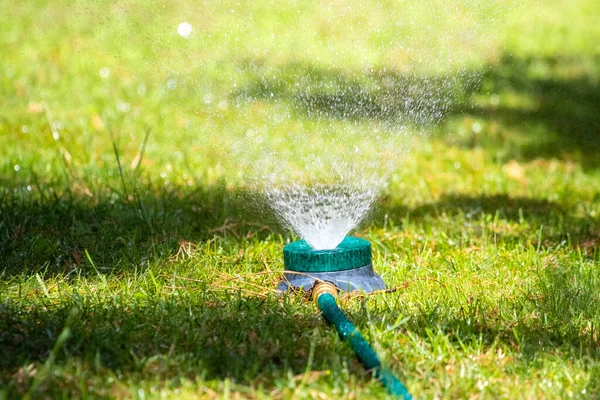 Sprinkler Spraying Water Watering Garden — ストック写真