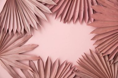 Kurumuş pembe tropikal palmiye yaprağı boho stili pastel pembe arka planda moda dekorasyon.