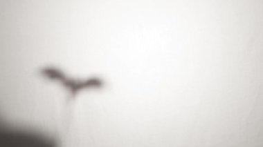 Cadılar Bayramı vampir yarasa gölgesi gölgeleri beyaz bir çarşafın arkasında sopaların üzerinde.