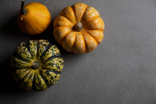 A variety of different autumnal pumpkins and gourds on a dark concrete background — Stock Photo, Image