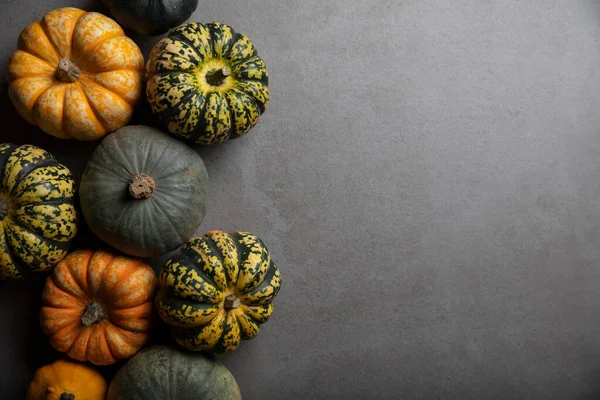 Farklı sonbahar balkabakları ve kabak çeşitleri koyu beton arka planda