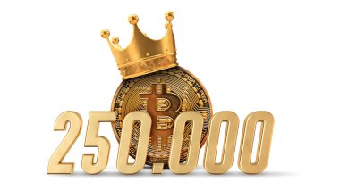 Bitcoin kripto para birimi 250 bin fiyat puanına. 3B Hazırlama