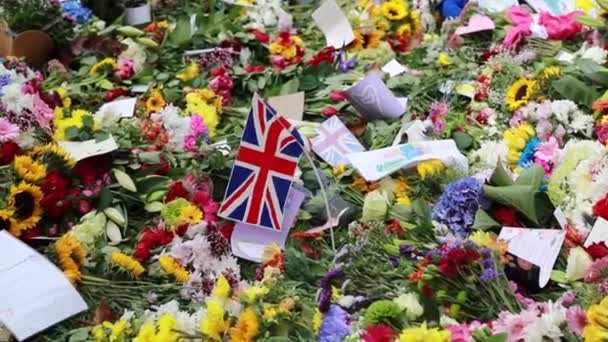 London Storbritannien September 2022 Tusentals Blommor Och Kort Green Park — Stockvideo