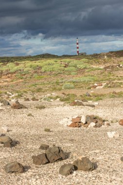 Abades, Tenerife, Kanarya Adaları 'nda fırtına bulutları olan sarı kum ve yeşil otlardan oluşan çöl manzarası. İspanya
