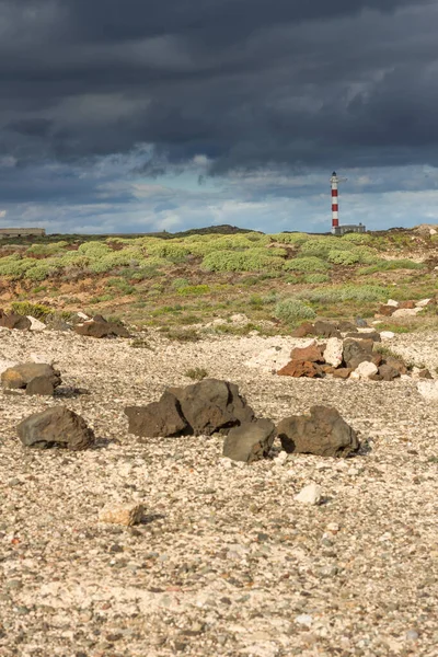 Abades, Tenerife, Kanarya Adaları 'nda fırtına bulutları olan sarı kum ve yeşil otlardan oluşan çöl manzarası. İspanya