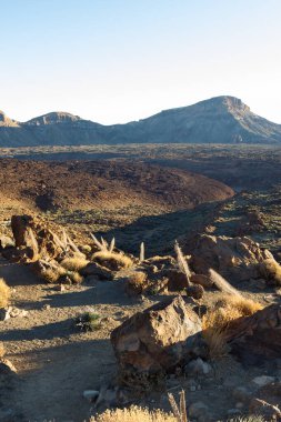 Teide doğal parkının altındaki farklı volkanik akıntıların ve farklı renklerdeki kaya oluşumlarının manzarası. Tenerife, Kanarya Adaları. İspanya
