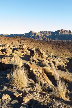 Teide doğal parkının altındaki farklı volkanik akıntıların ve farklı renklerdeki kaya oluşumlarının manzarası. Tenerife, Kanarya Adaları. İspanya