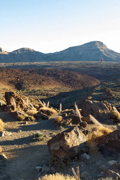 Teide doğal parkının altındaki farklı volkanik akıntıların ve farklı renklerdeki kaya oluşumlarının manzarası. Tenerife, Kanarya Adaları. İspanya