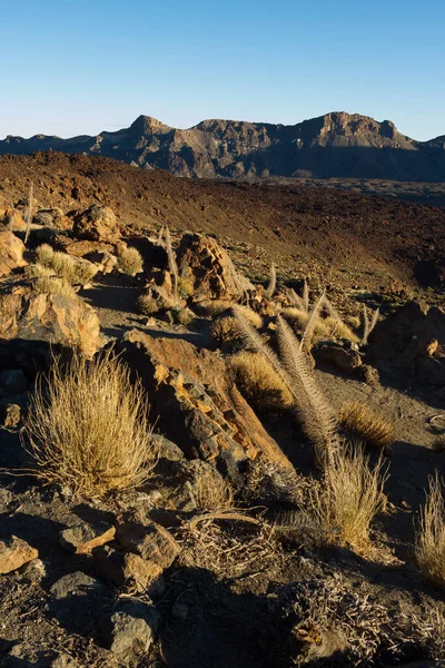 Teide doğal parkının altındaki farklı volkanik akıntıların ve farklı renklerdeki kaya oluşumlarının manzarası. Tenerife, Kanarya Adaları. İspanya