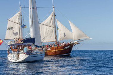 Mavi denizde seyreden balina ve yunuslar için turist tekneleri. Los Gigantes, Tenerife, Kanarya Adaları. İspanya