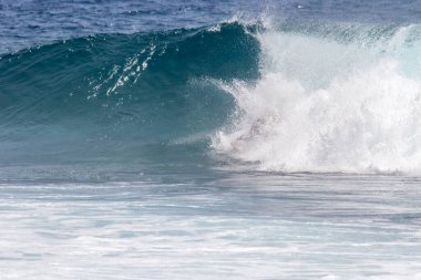 Kıyı şeridine doğru kopan bir dalganın yakın plan görüntüsü çok sayıda beyaz köpük oluşturur. Tenerife, Kanarya Adaları, İspanya