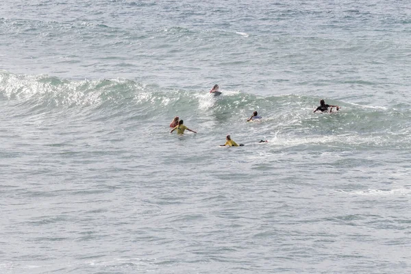 TENERIFE, SPAIN, NOVEMBER-03-2013: Sörf yarışmasında sörf yapmak ve yarışmak için dalgaların gelmesini bekleyen dört kız. Tenerife, Kanarya Adaları, İspanya