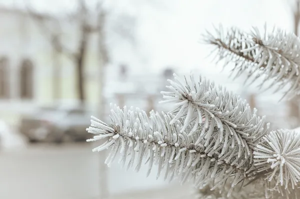 Winterstadt — kostenloses Stockfoto