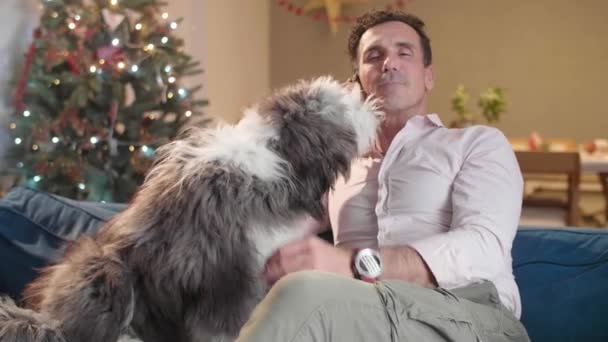 男人坐在沙发上 一边打电话一边说话 他爱抚他的狗 狗也躺在沙发上 客厅里装饰着圣诞节的气氛 — 图库视频影像
