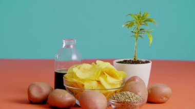 Bir el cam şeffaf bir kaseden cips topluyor, başka bir kase kenevir tohumu, soyulmamış patates ve saksıda marihuana yetiştiriyor..