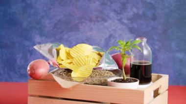 Bir şişedeki CBD yağının, patateslerin ve marihuana bitkisinin yanında açık bir cips torbasından cips ve tahta bir sandıkta bir kase kenevir tohumu alıyorum. Arka plan mavi..