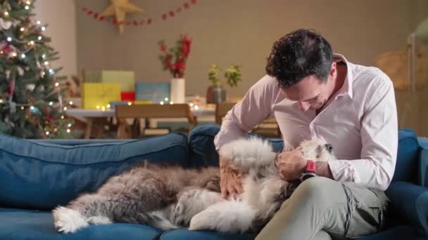 Oturma Odası Noel Süslemeleriyle Dolu Bir Adam Kanepede Oturmuş Köpeğini — Stok video