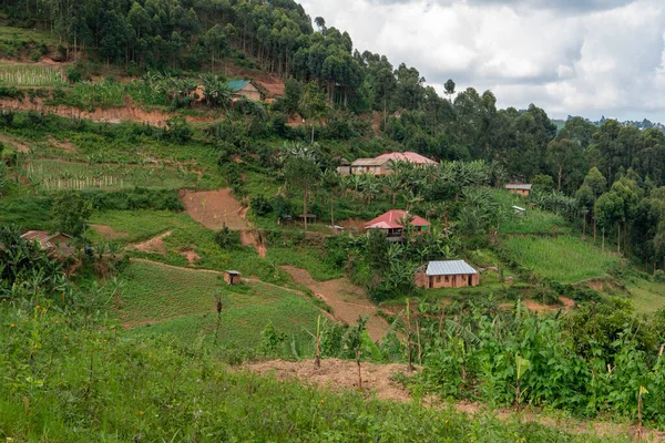 Beautiful landscape with typical houses and nature on the islands of Lake Bunyonyi in Uganda, Africa