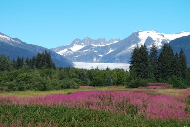 Alaska