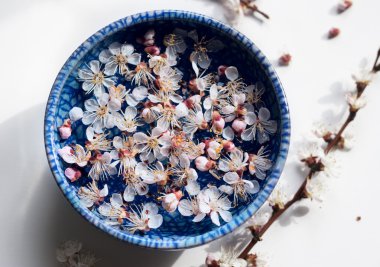 yüzen çiçek ile mavi plaka