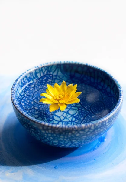 Yellow flower in blue cup — Stock Photo, Image