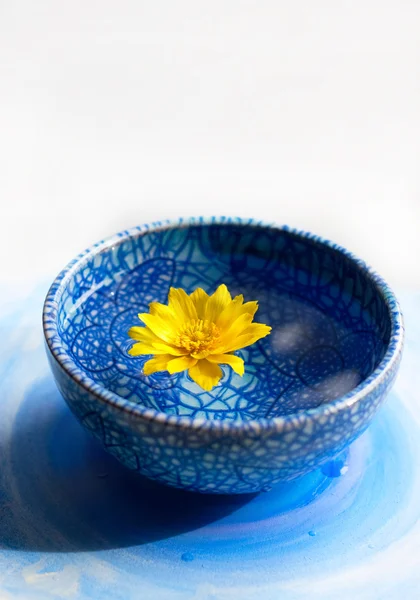 Yellow flower in blue cup — Stock Photo, Image