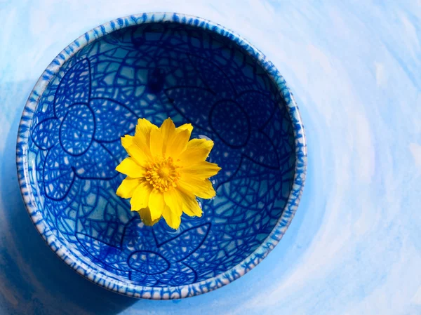 Yellow flower in blue plate — Stock Photo, Image