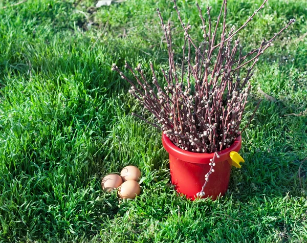 Easter still life on the green grass — Stock Photo, Image