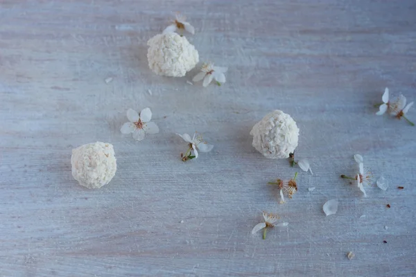 Round candies in coconut flakes — Stock Photo, Image