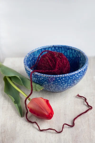 Tulip, blue plate and bordeaux sewing — Stock Photo, Image