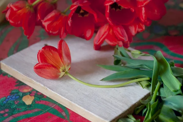 Bodegón con tulipanes — Foto de Stock