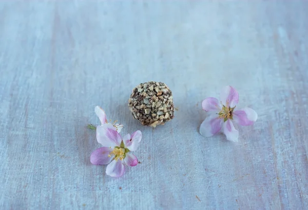 Runde Schokoladenbonbons mit Nüssen und Apfelblüten — Stockfoto