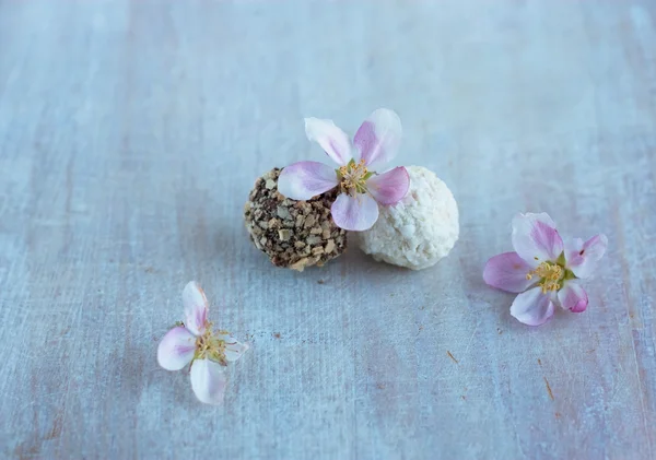 Twee ronde snoep en apple bloemen — Stockfoto