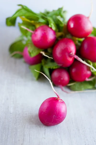 Bunch garden radish on the white board — Stock Photo, Image