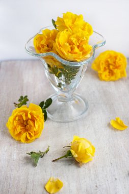 çiçek cam ölçek grup