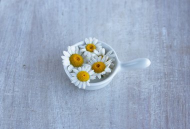 küçük sauceboat de yaz vahşi çiçek papatya