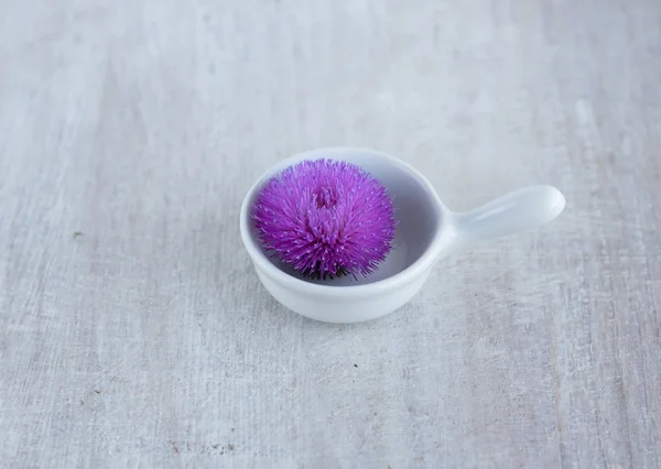 Flores silvestres violetas no barco de molho de porcelana branca — Fotografia de Stock