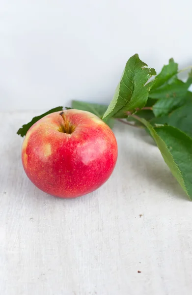 Juicy sweet apple and green leafs — Stock Photo, Image