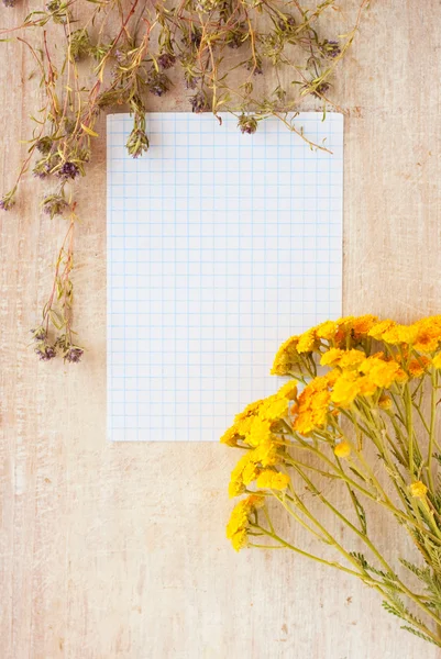 Paper for writing and medicinal herb — Stock Photo, Image
