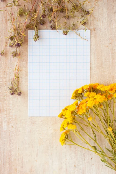 Papel de escrita e erva medicinal — Fotografia de Stock