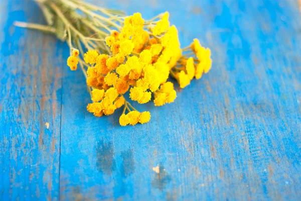 Ramo de flores silvestres en el tablero azul —  Fotos de Stock