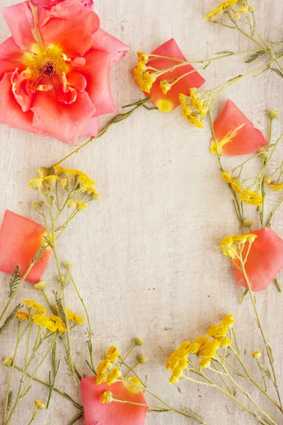 Marco para la escritura o la foto de flores — Foto de Stock